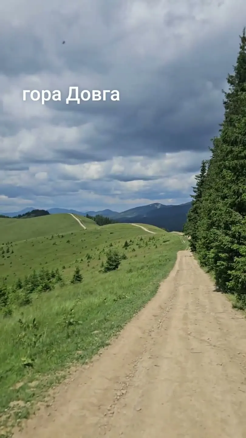 Гора Довга